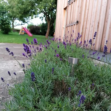 Appartement Am Reinhardswald -buchenzweig-