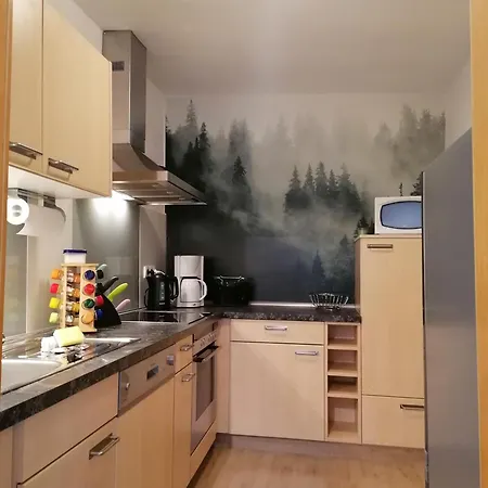 Am Reinhardswald -buchenzweig- Trendelburg