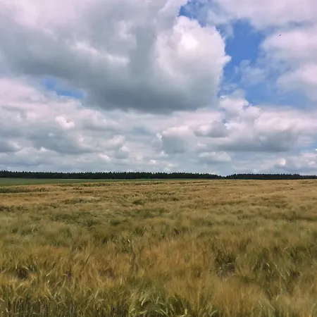 Appartement Am Reinhardswald -buchenzweig- Trendelburg