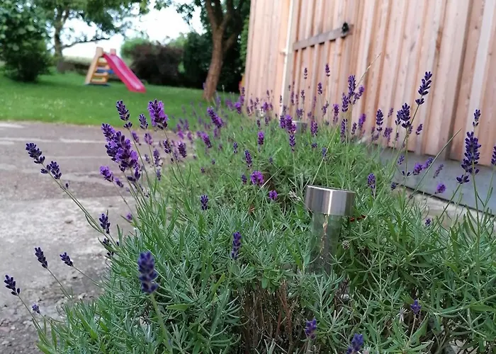 Apartment Am Reinhardswald -buchenzweig-