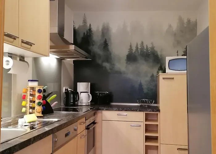 Am Reinhardswald -buchenzweig- Trendelburg