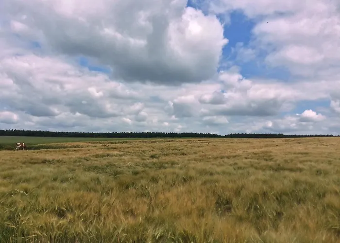 Apartment Am Reinhardswald -buchenzweig- Trendelburg